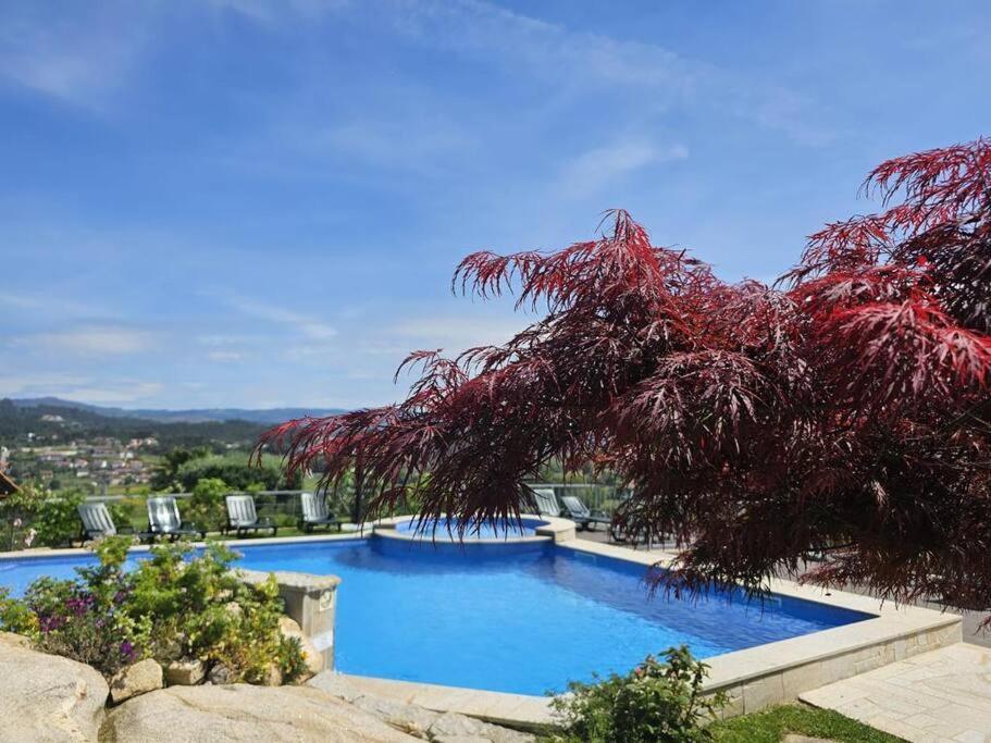 Fernandes Guest House Blue Bungalow Ponte de Lima Exteriör bild